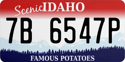 ID license plate 7B6547P