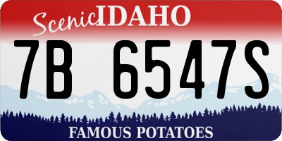 ID license plate 7B6547S