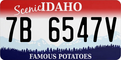 ID license plate 7B6547V