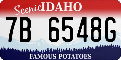 ID license plate 7B6548G