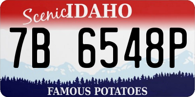 ID license plate 7B6548P