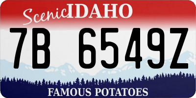 ID license plate 7B6549Z