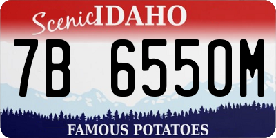 ID license plate 7B6550M