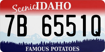 ID license plate 7B6551Q
