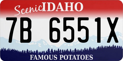 ID license plate 7B6551X