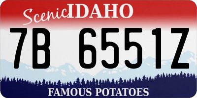 ID license plate 7B6551Z