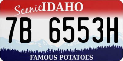 ID license plate 7B6553H