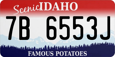 ID license plate 7B6553J