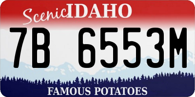 ID license plate 7B6553M