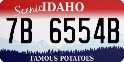ID license plate 7B6554B