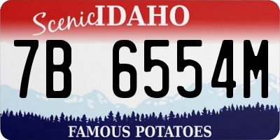 ID license plate 7B6554M