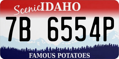 ID license plate 7B6554P