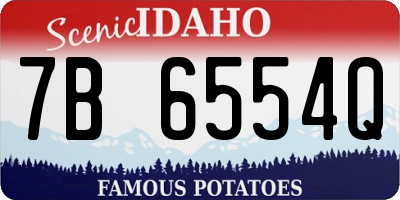 ID license plate 7B6554Q