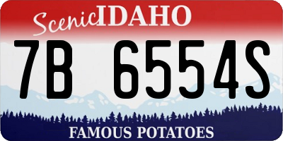 ID license plate 7B6554S