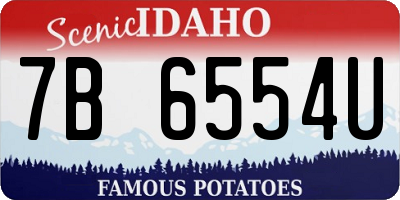 ID license plate 7B6554U