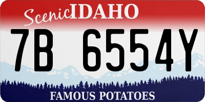 ID license plate 7B6554Y