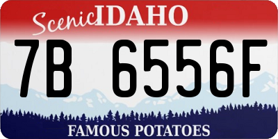 ID license plate 7B6556F