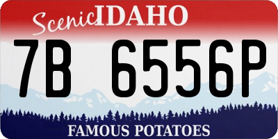 ID license plate 7B6556P