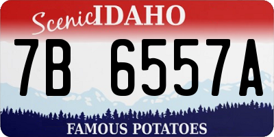 ID license plate 7B6557A