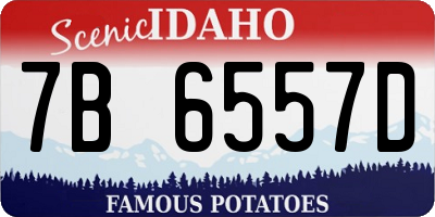 ID license plate 7B6557D