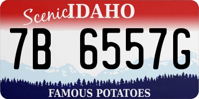 ID license plate 7B6557G