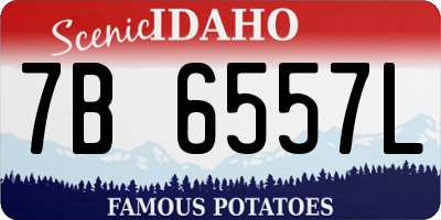 ID license plate 7B6557L