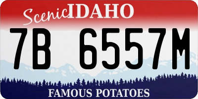 ID license plate 7B6557M