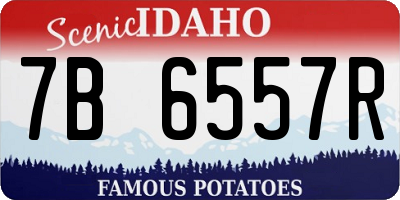ID license plate 7B6557R