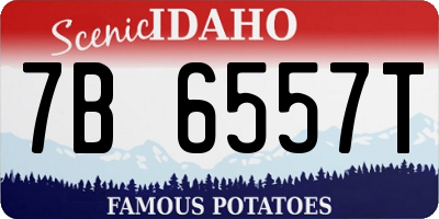 ID license plate 7B6557T