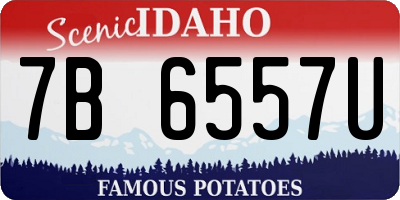 ID license plate 7B6557U