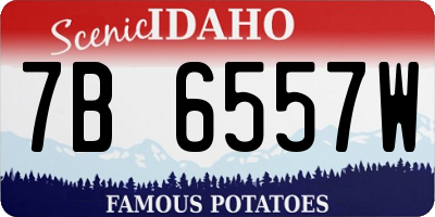 ID license plate 7B6557W