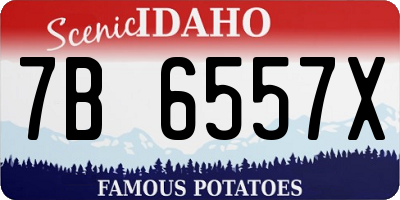 ID license plate 7B6557X