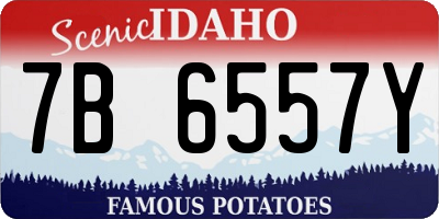 ID license plate 7B6557Y