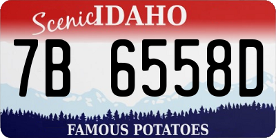 ID license plate 7B6558D