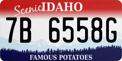 ID license plate 7B6558G