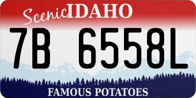 ID license plate 7B6558L