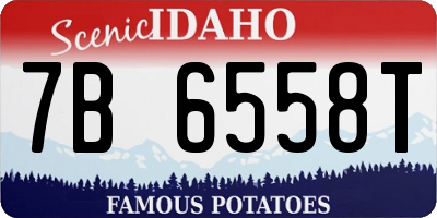 ID license plate 7B6558T