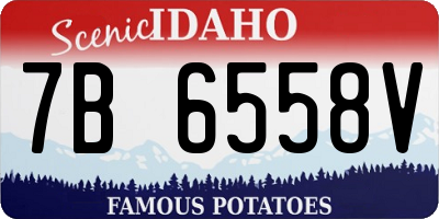 ID license plate 7B6558V