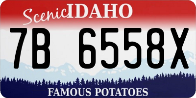 ID license plate 7B6558X