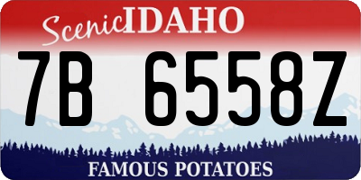 ID license plate 7B6558Z