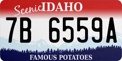 ID license plate 7B6559A