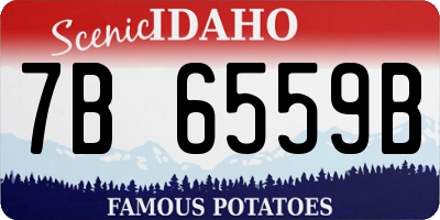ID license plate 7B6559B