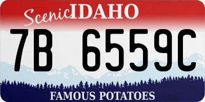ID license plate 7B6559C