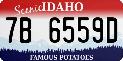 ID license plate 7B6559D
