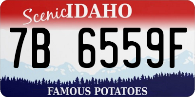 ID license plate 7B6559F