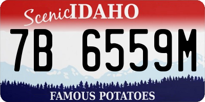 ID license plate 7B6559M