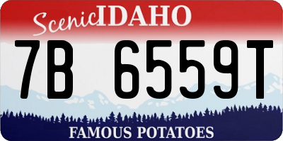 ID license plate 7B6559T