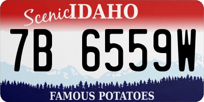 ID license plate 7B6559W