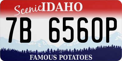 ID license plate 7B6560P