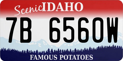 ID license plate 7B6560W